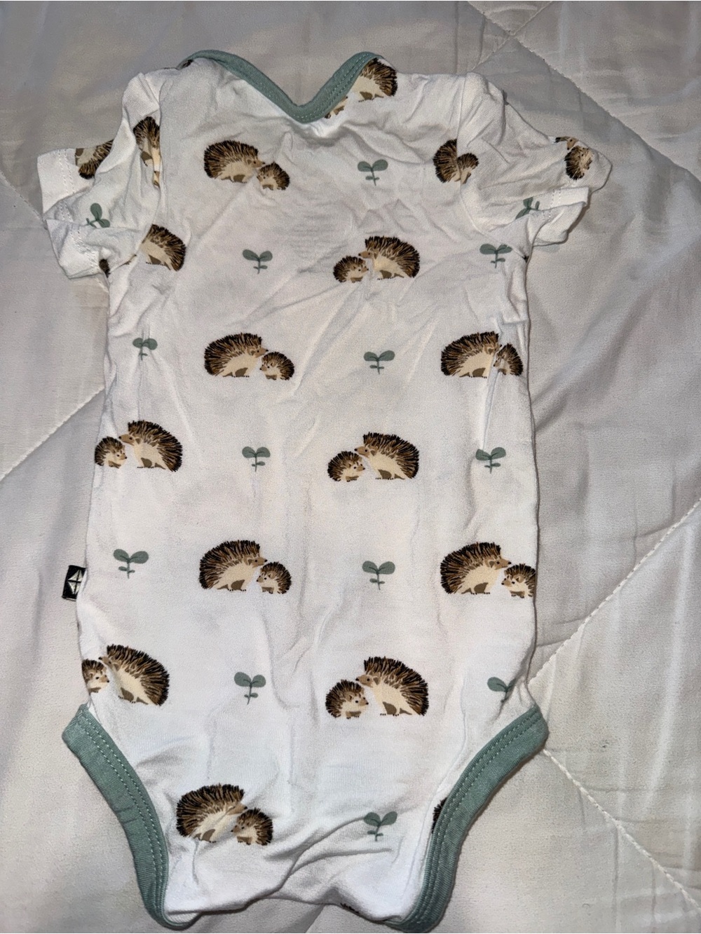 Kyte Baby Bodysuit Hedgehog